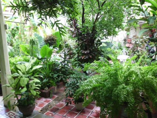 'Yard and Garden' Casas particulares are an alternative to hotels in Cuba. Check our website cubaparticular.com often for new casas.